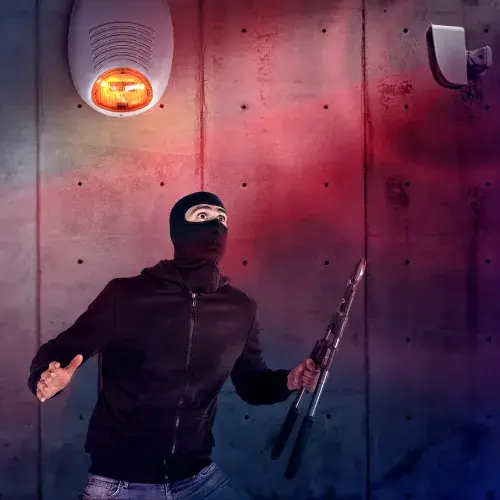 Intruder & Burglar Alarm Monitoring